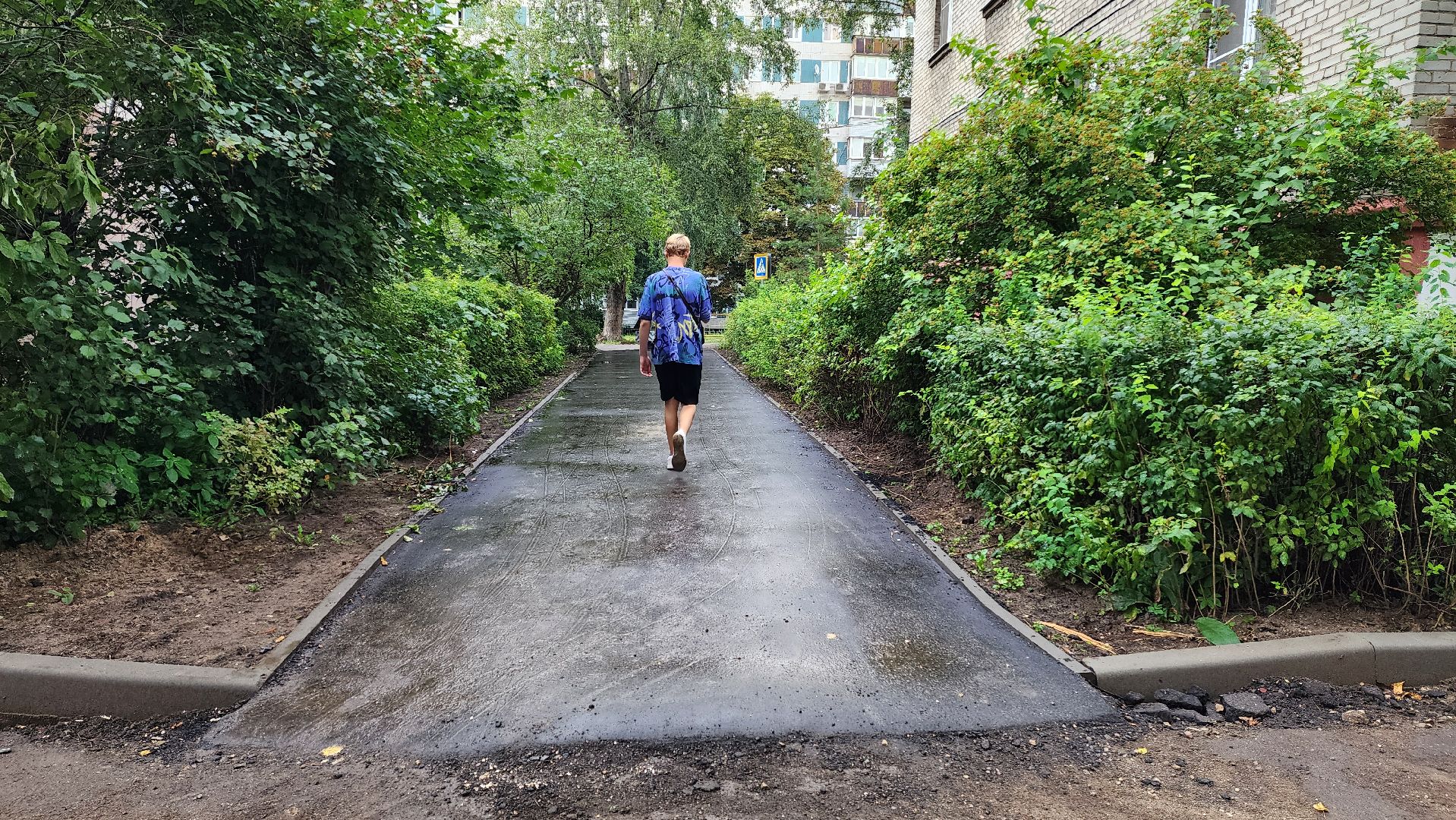 благоустройство дворовой территории, замена асфальта во дворе, пешеходные тропы,