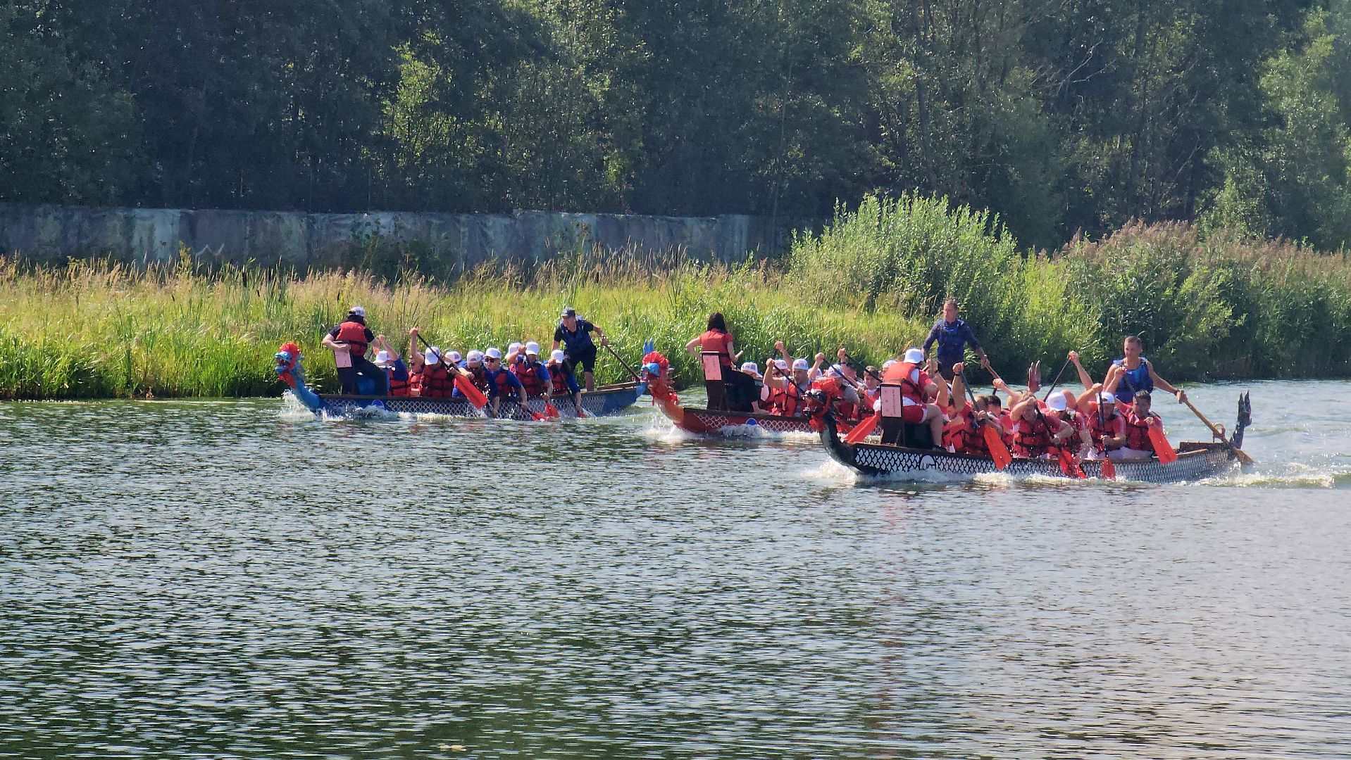 гольф клуб, гринвуд, красногорск, китай,