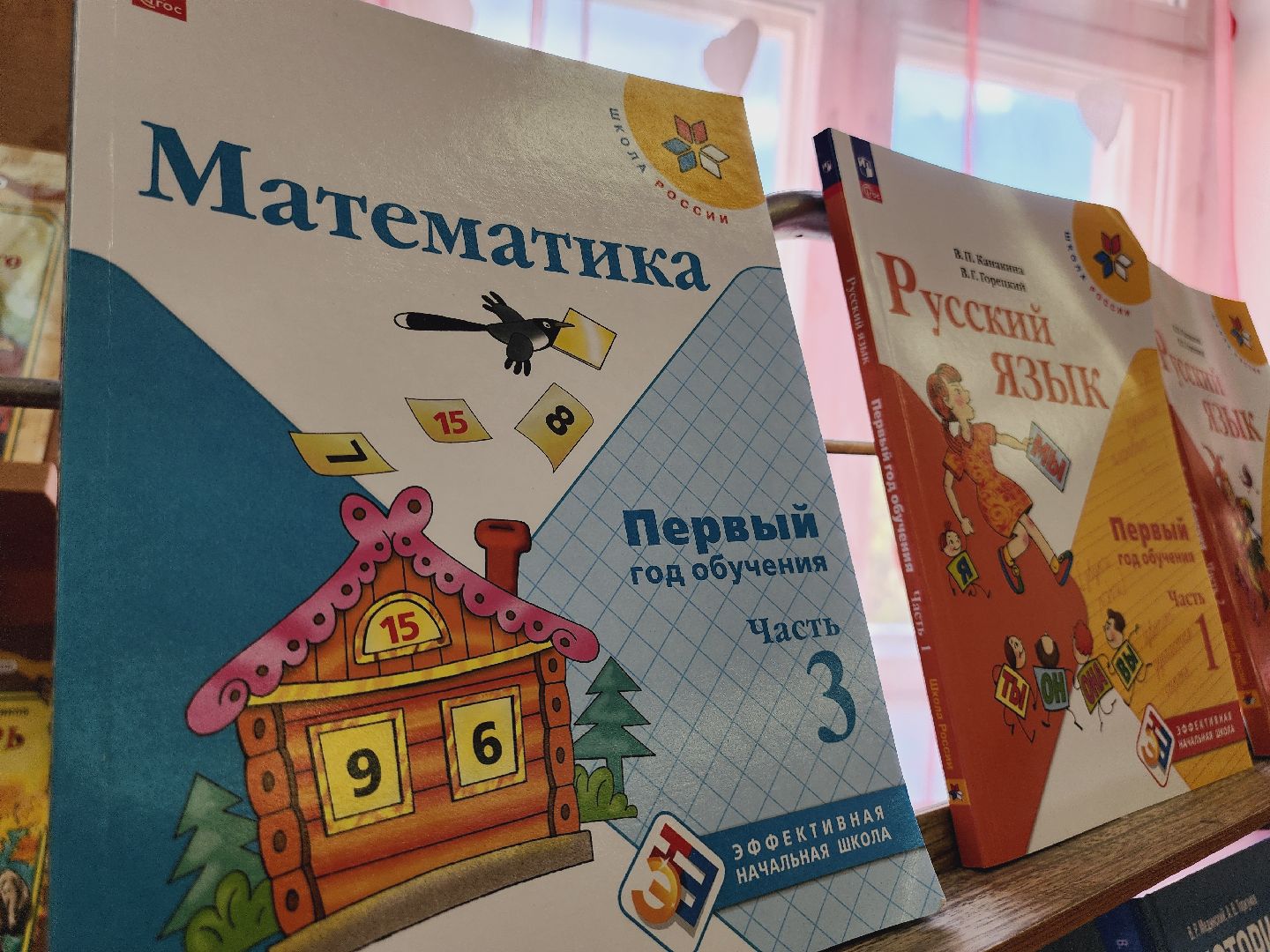 Егорьевск, Библиотека, Подмосковье, Московская область, Книги, Школа,