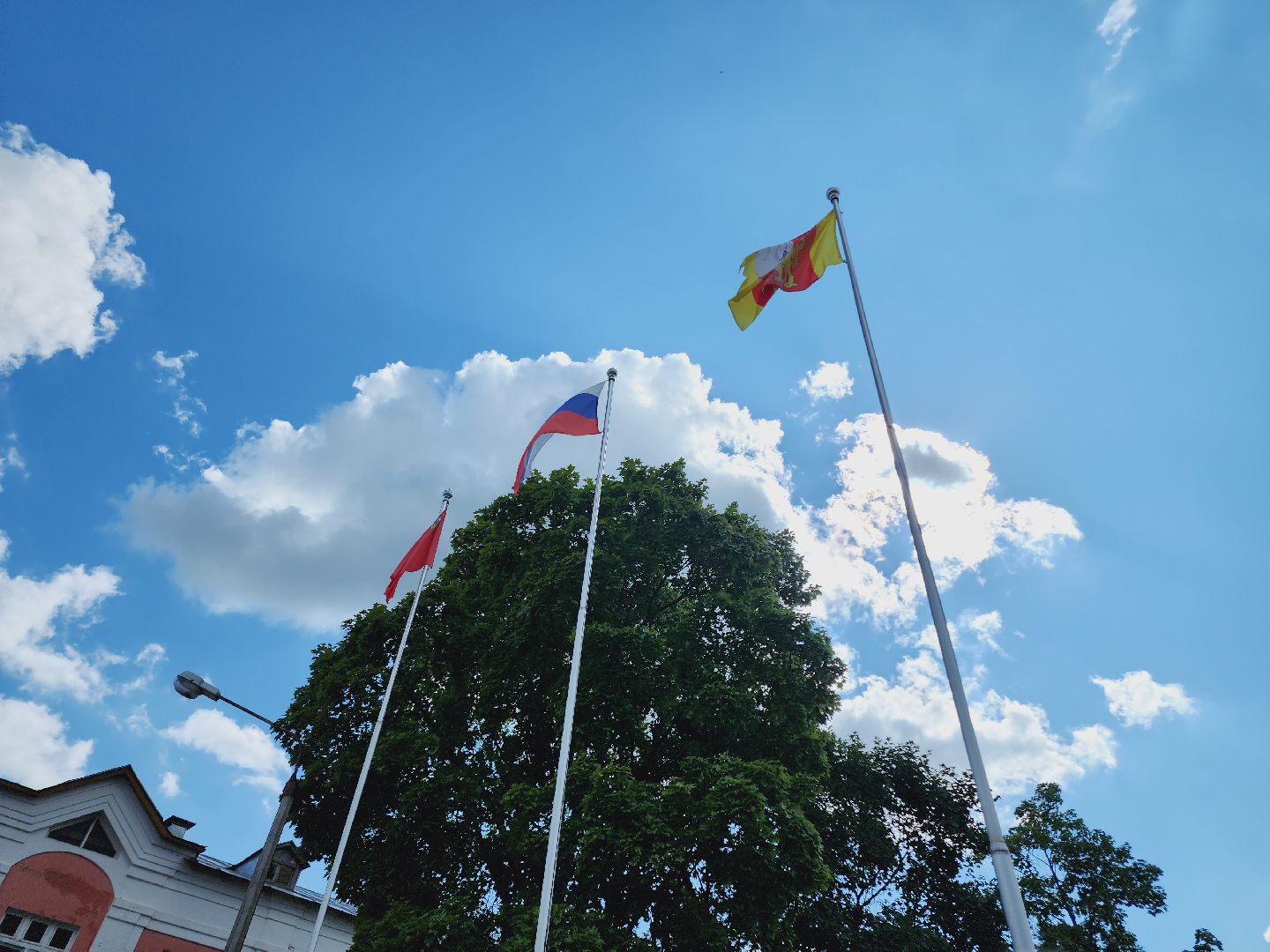 Егорьевск, Библиотека, Подмосковье, Московская область, Книги, Школа,