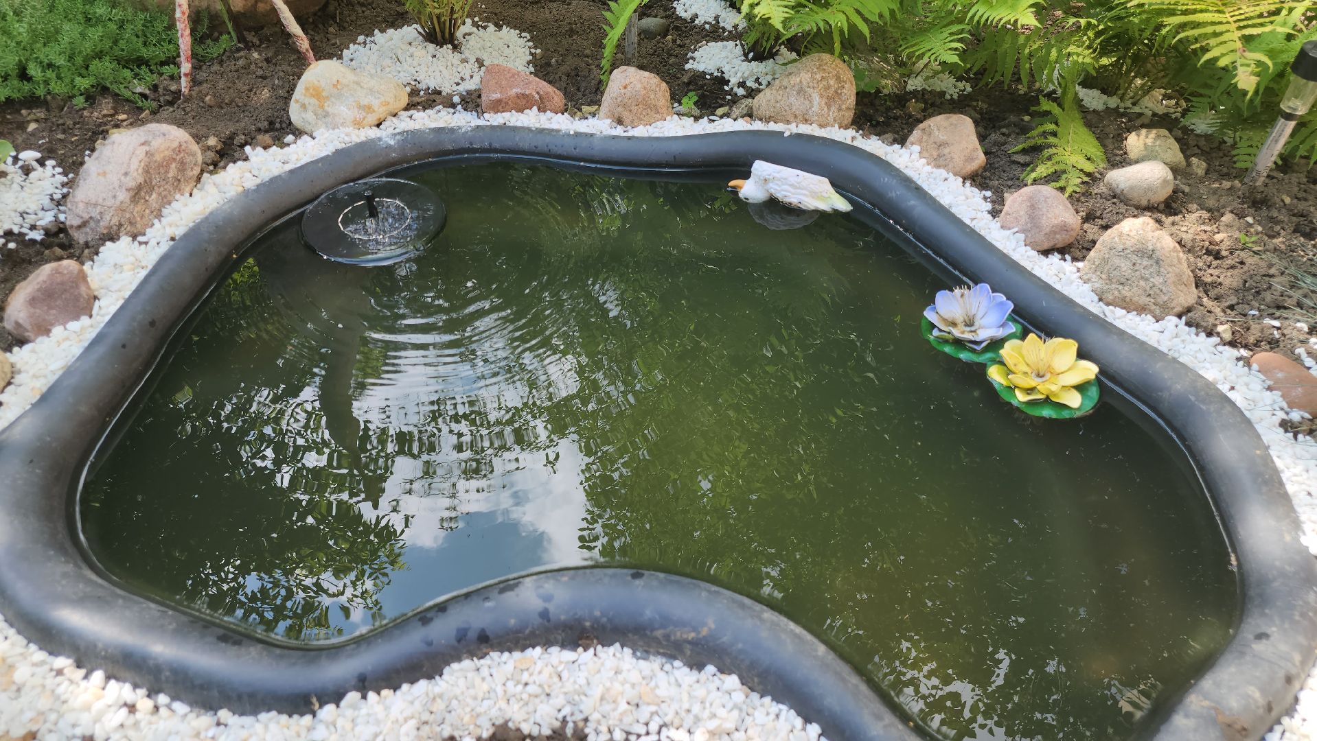 долгопрудный, конкурс по благоустройству, цветник, ландшафтный дизайн, хлебниково,