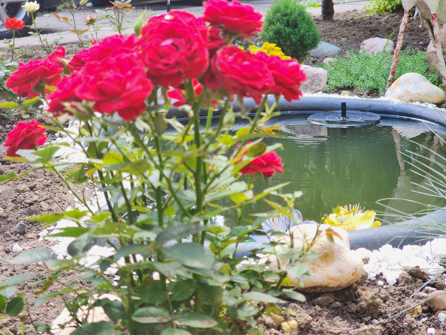 долгопрудный, конкурс по благоустройству, цветник, ландшафтный дизайн, хлебниково,