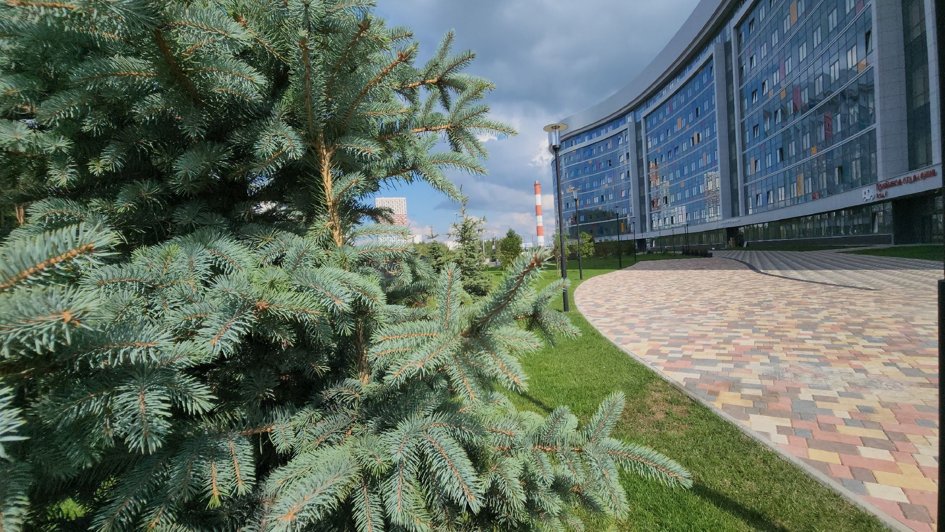 рошаль, красногорск, детский клинический центр, благоуйстройство,