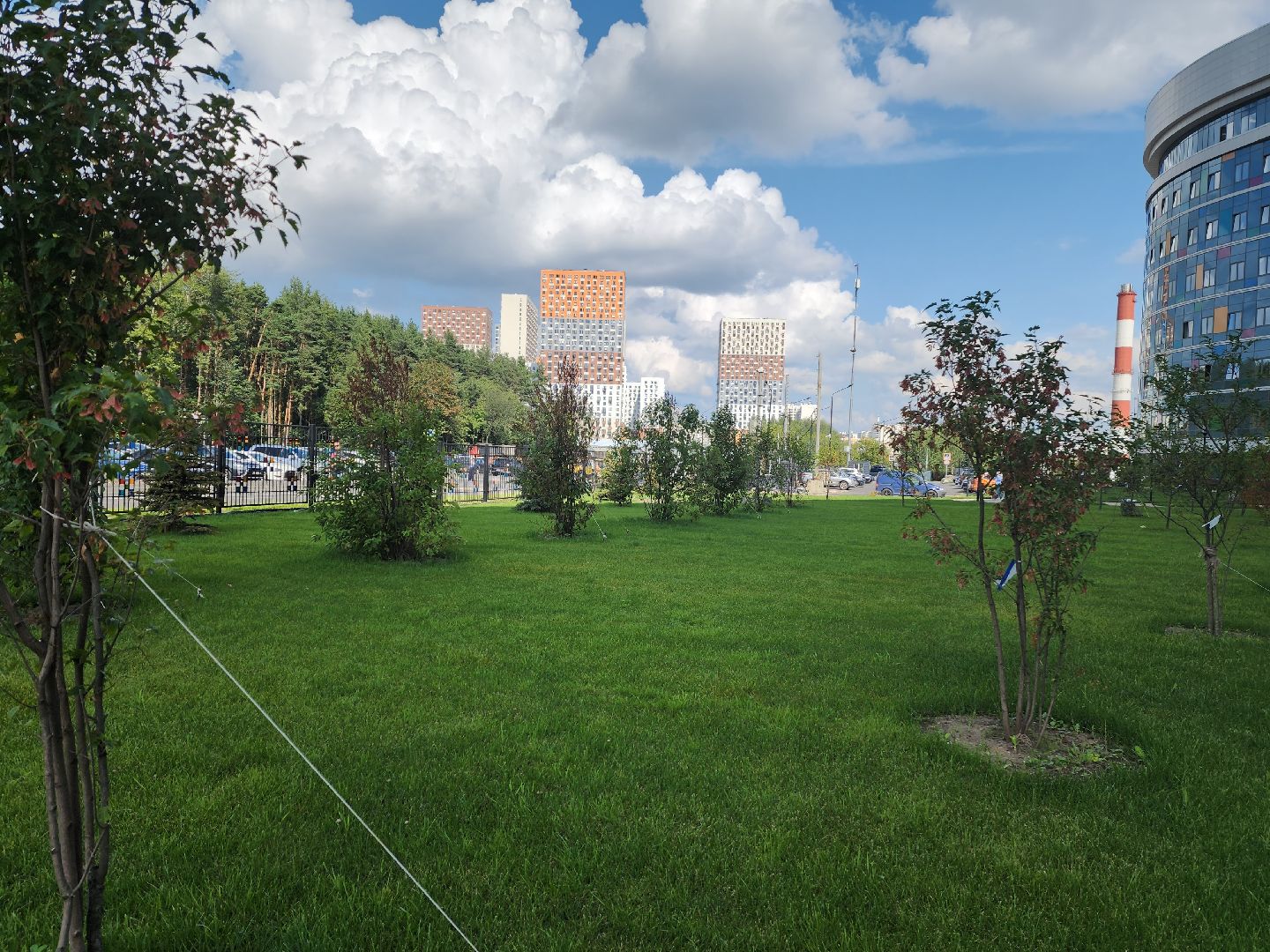 рошаль, красногорск, детский клинический центр, благоуйстройство,