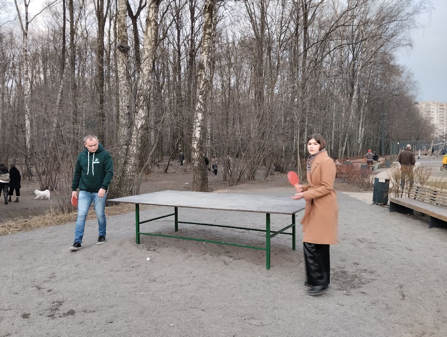 спорт, теннис