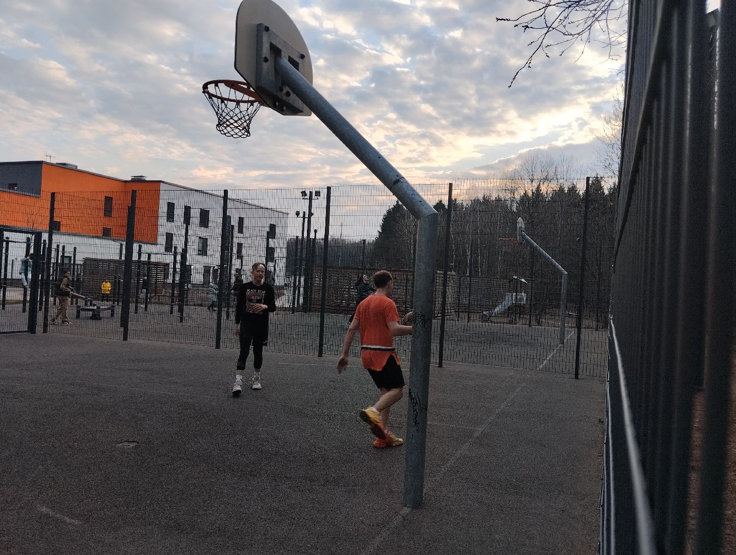 спорт, теннис