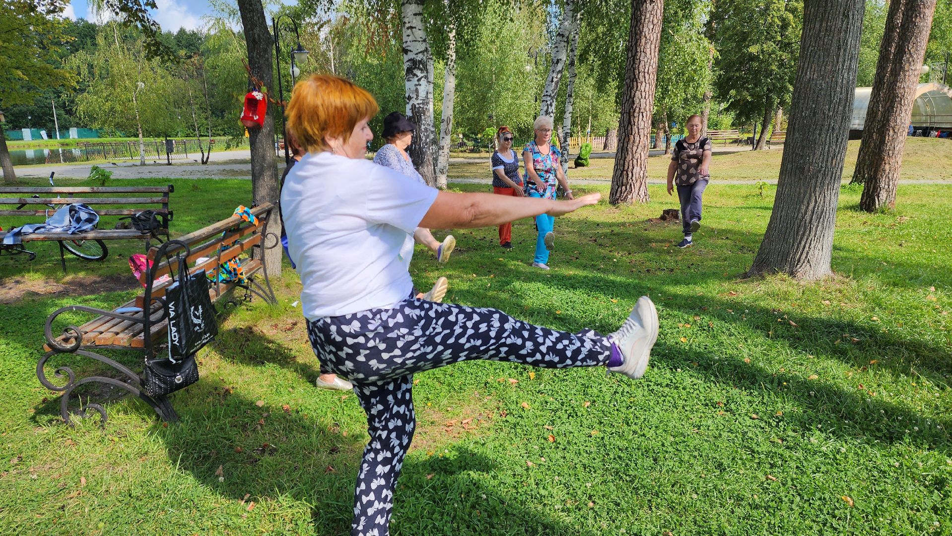 шатура, Нейрогимнастика, активное долголетие, культурная шатура,