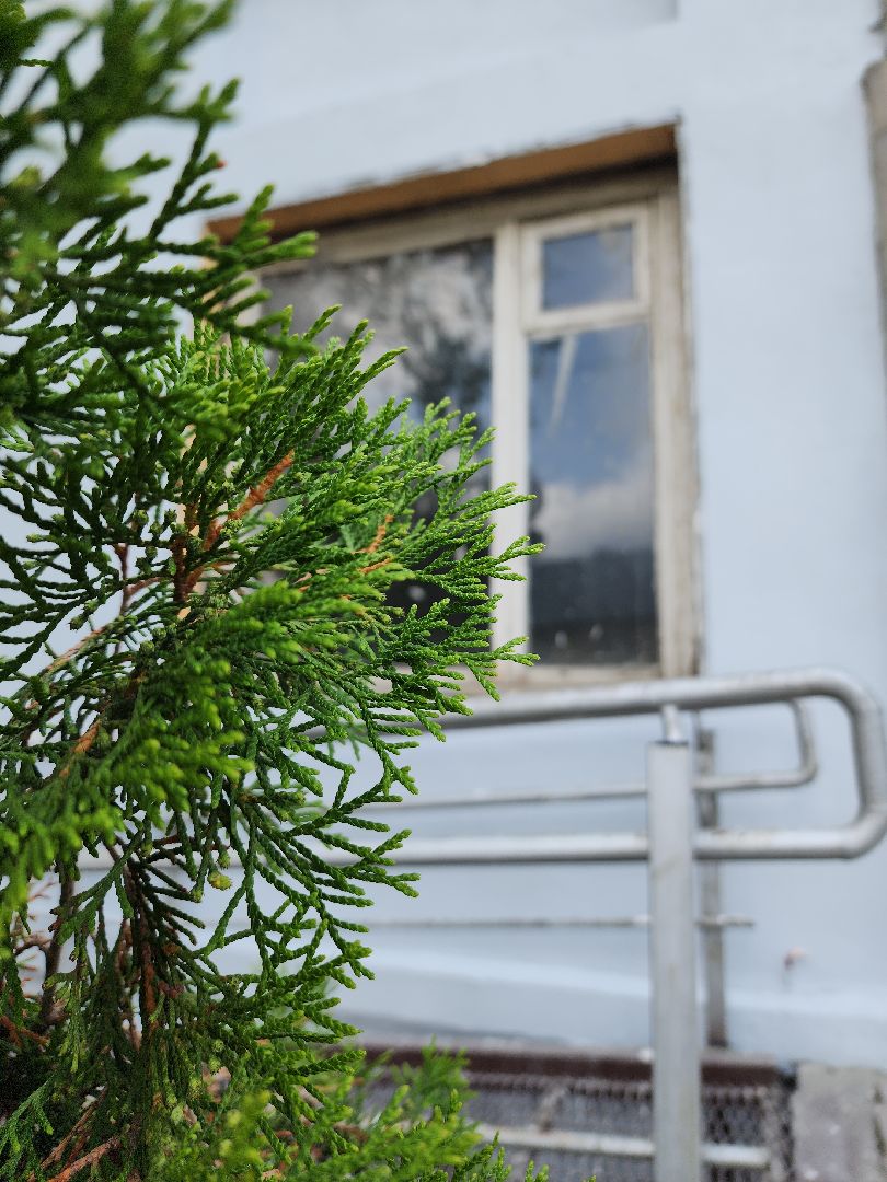 ремонт школы, ремонт музыкальной школы, электросталь, мой город, культура, культура для школьников, культура подмосковья, нацпроект, нацпроект культура,