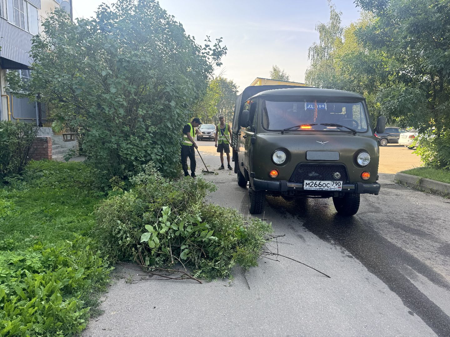 шаховская, коммунальная служба, обрезка кустов,