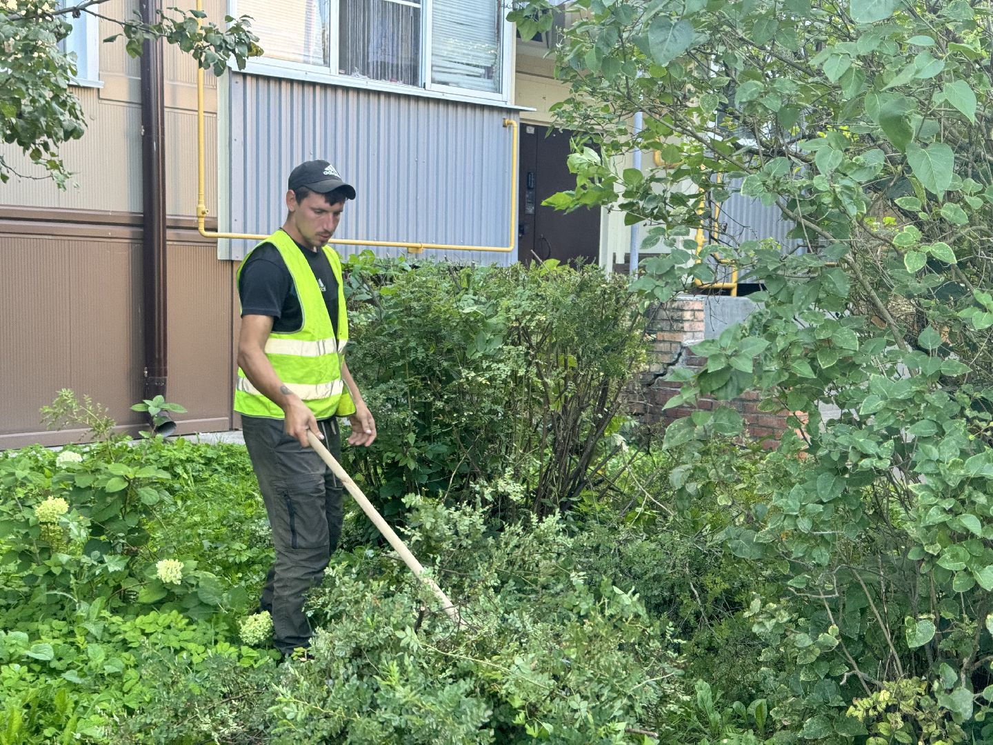 шаховская, коммунальная служба, обрезка кустов,