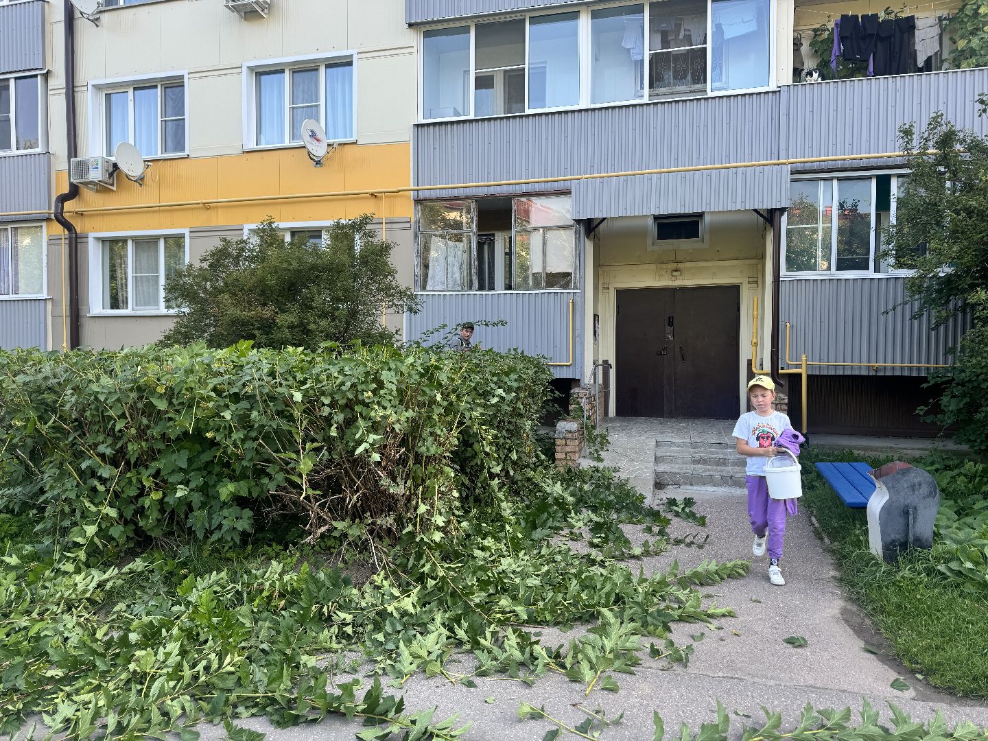 шаховская, коммунальная служба, обрезка кустов,