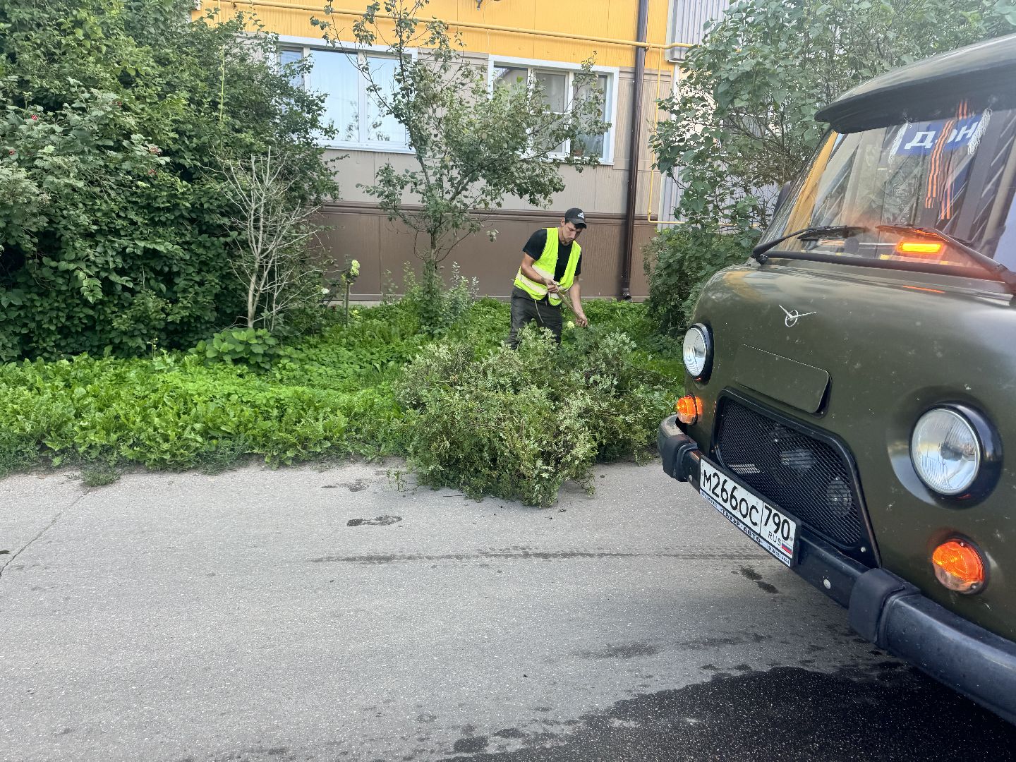 шаховская, коммунальная служба, обрезка кустов,