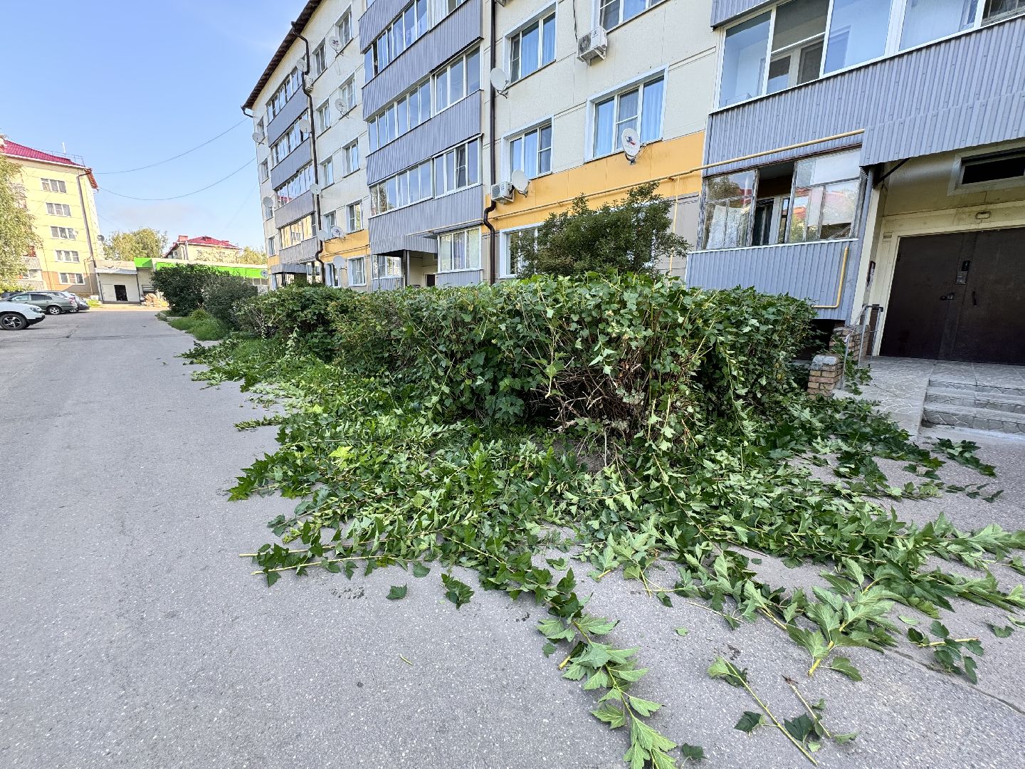 шаховская, коммунальная служба, обрезка кустов,