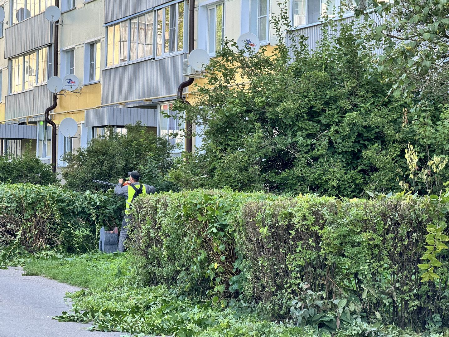 шаховская, коммунальная служба, обрезка кустов,