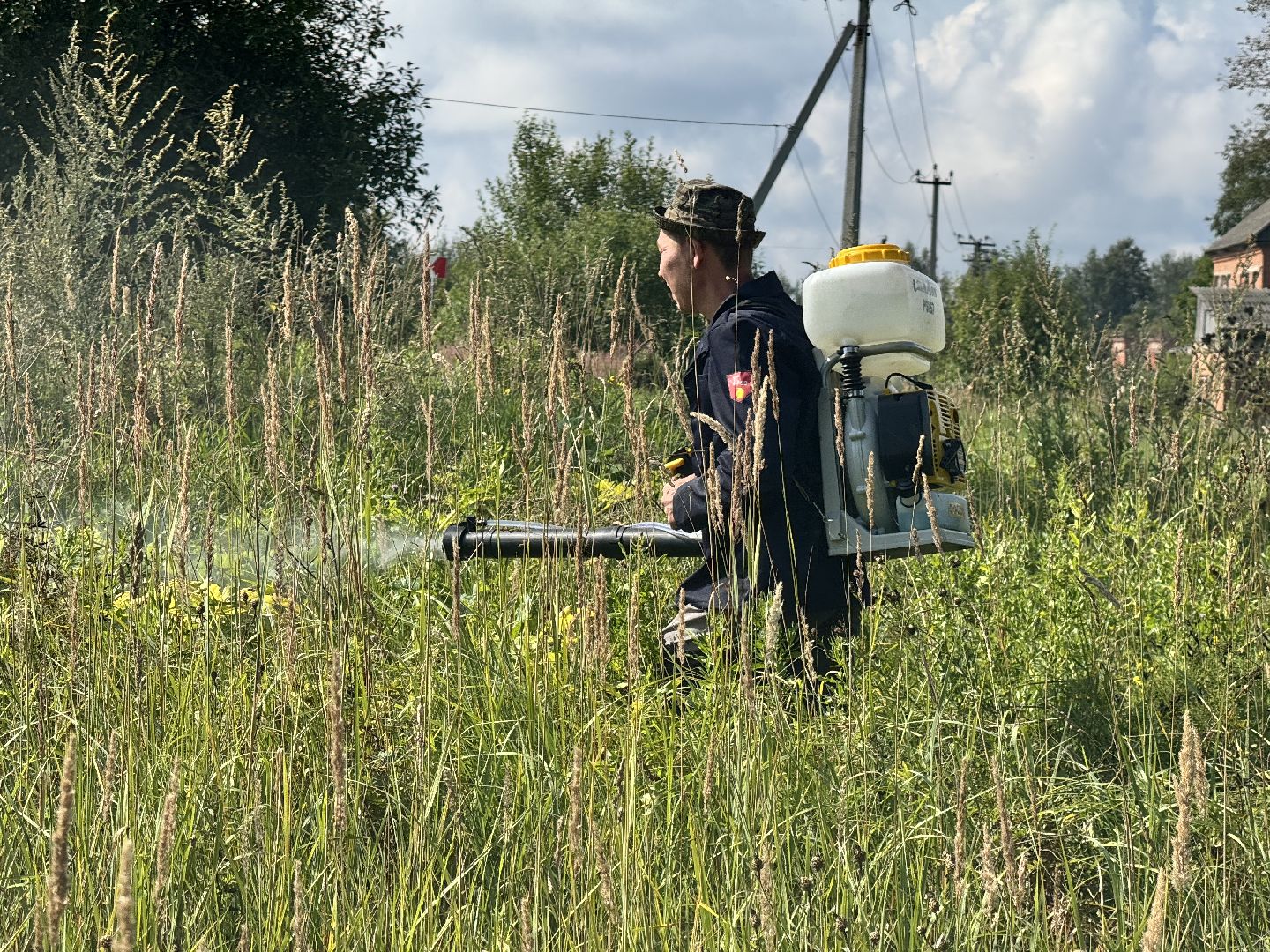шаховская, борщевик, борщевик сосновского, обработка от борщевика, коммунальная служба,