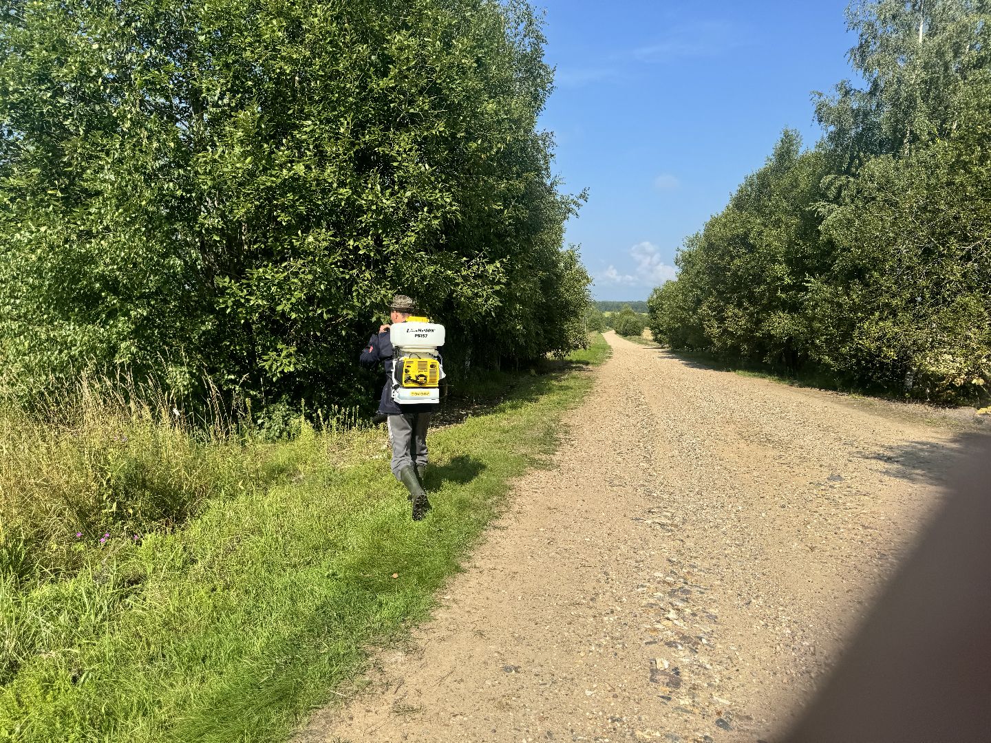 шаховская, борщевик, борщевик сосновского, обработка от борщевика, коммунальная служба,