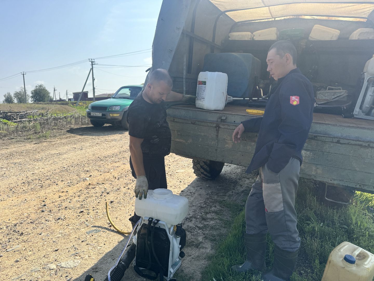 шаховская, борщевик, борщевик сосновского, обработка от борщевика, коммунальная служба,