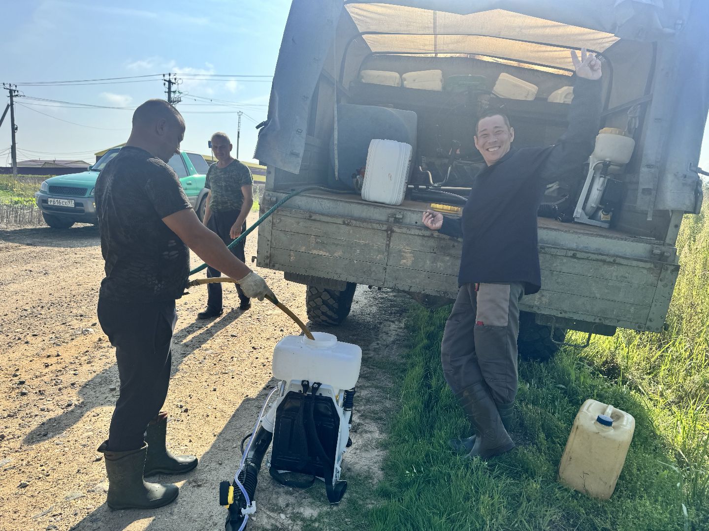 шаховская, борщевик, борщевик сосновского, обработка от борщевика, коммунальная служба,