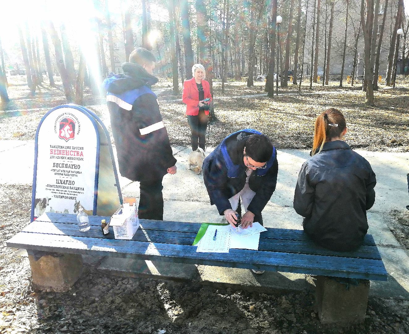 Протвино, вакцинация, бешенство, домашние животные, забота