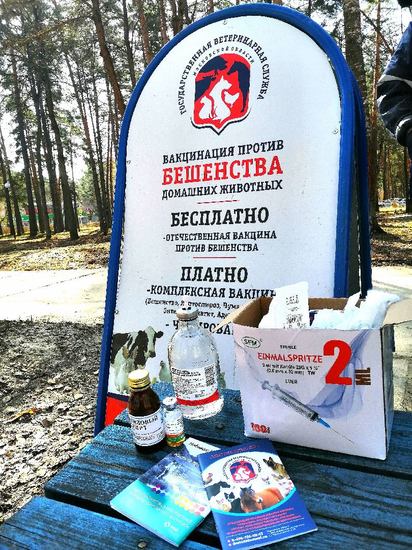 Протвино, вакцинация, бешенство, домашние животные, забота
