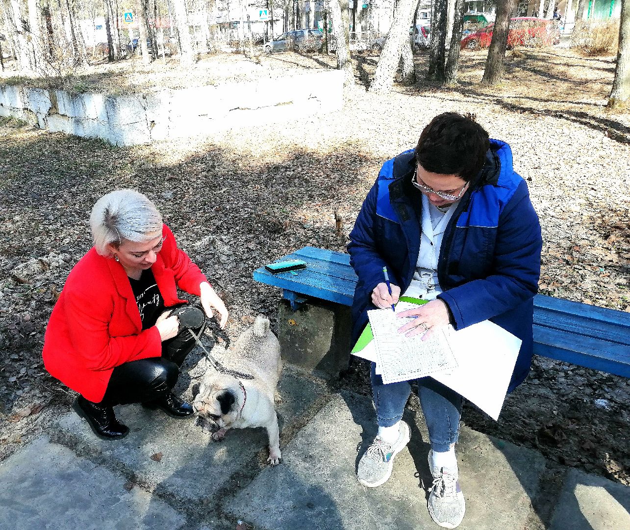 Протвино, вакцинация, бешенство, домашние животные, забота