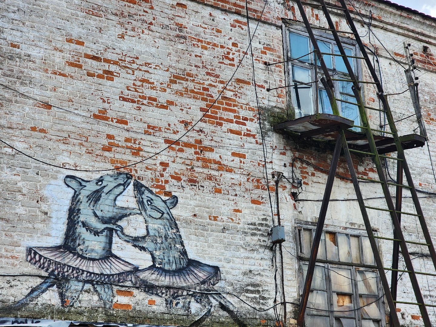 богородский округ, жители, общество, оперативный объезд, власть, социальный автобус, транспорт,