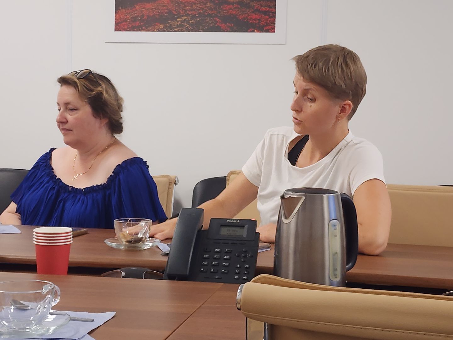 многодетная семья, профилактика абортов,