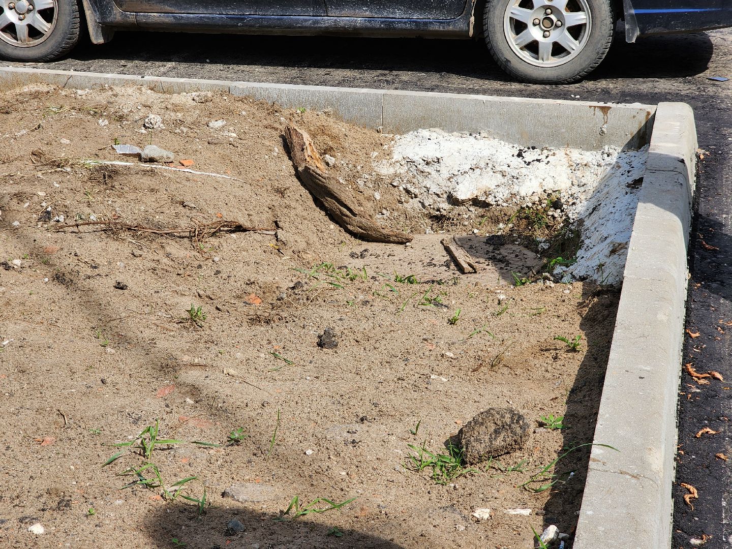 поселок Новостройка, богородский округ, жители, общество, глава округа, комплексное благоустройство дворовой территории,