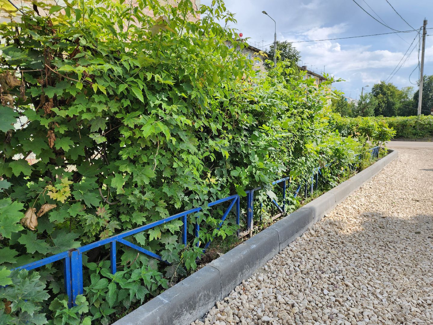 поселок Новостройка, богородский округ, жители, общество, глава округа, комплексное благоустройство дворовой территории,