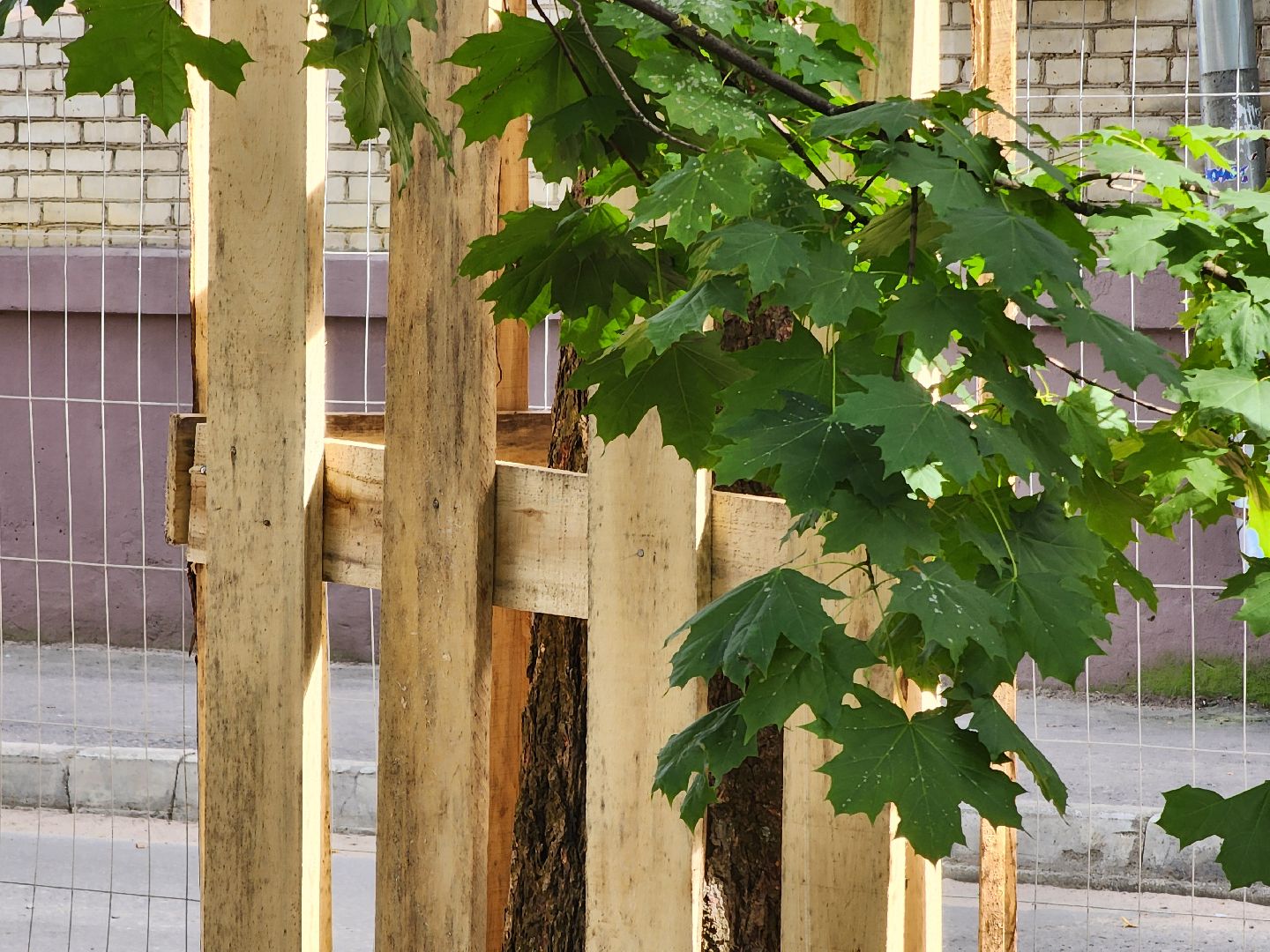 Дубна, Благоустройство, Пешеходная дорожка, Ремонт,