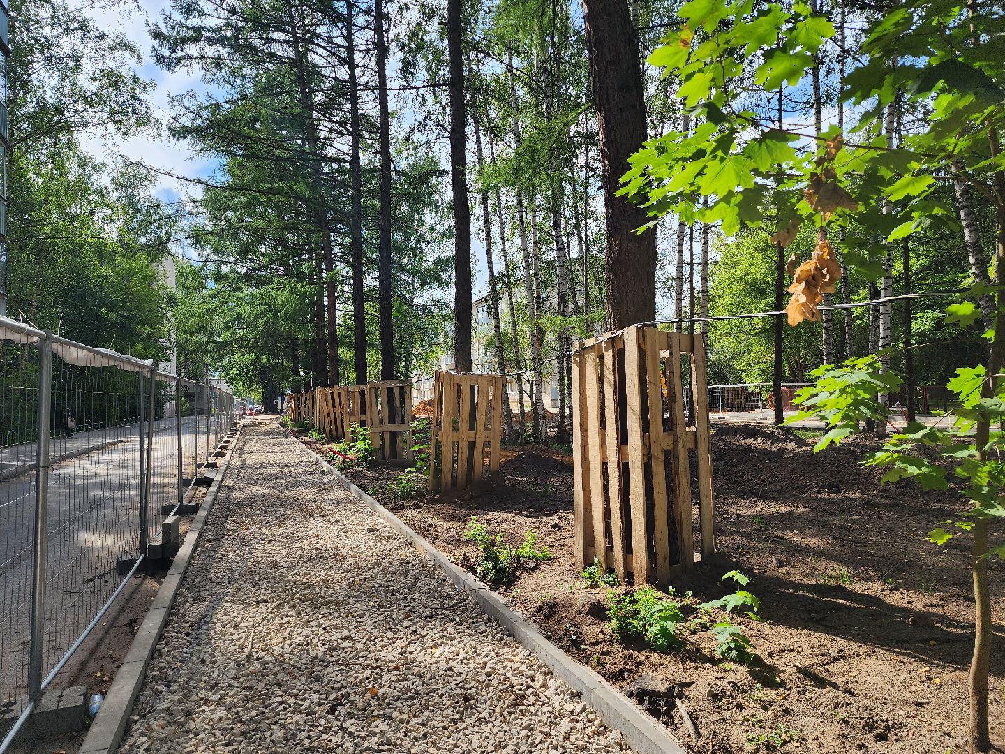 Дубна, Благоустройство, Пешеходная дорожка, Ремонт,