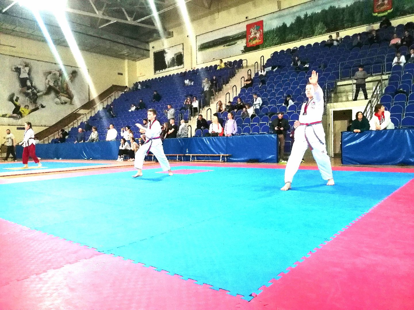 тхэквондо, Протвино, импульс, спорт, дети