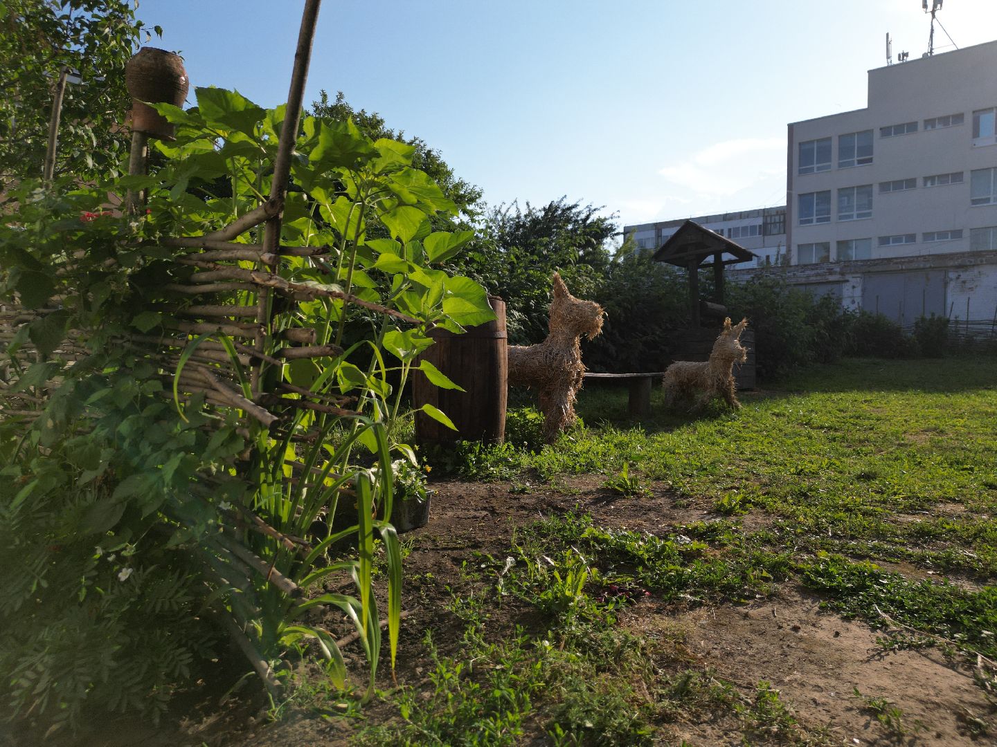 видео с коптера, зарайск, музей,
