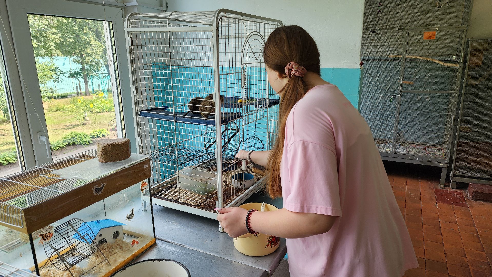 кашира, трудовой лагерь, летние каникулы, детский экологический центр, уход за животными,