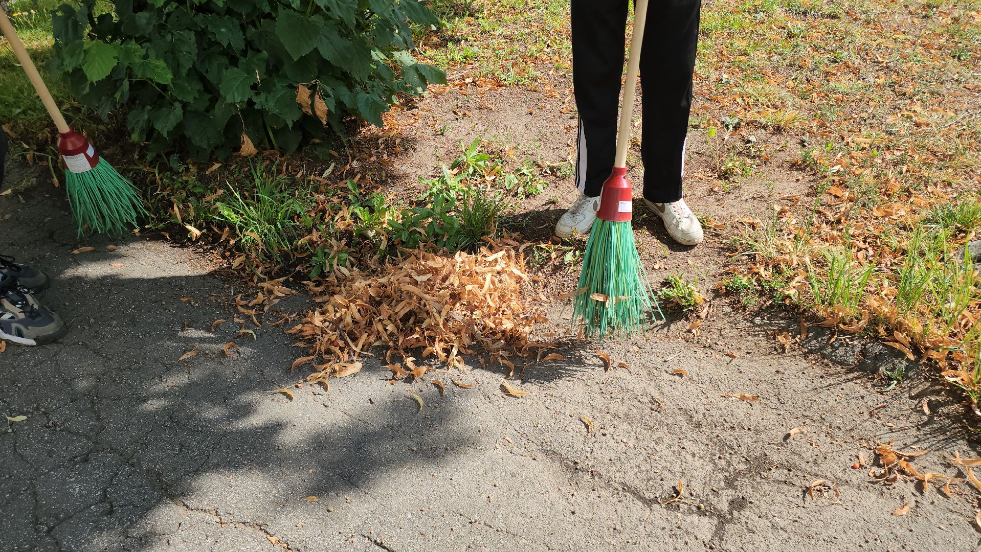 кашира, трудовой лагерь, летние каникулы, детский экологический центр, уход за животными,