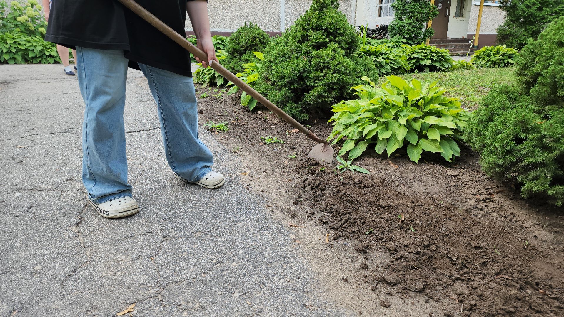кашира, трудовой лагерь, летние каникулы, детский экологический центр, уход за животными,