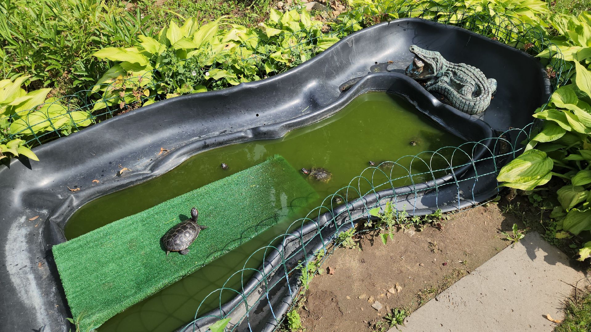 кашира, трудовой лагерь, летние каникулы, детский экологический центр, уход за животными,