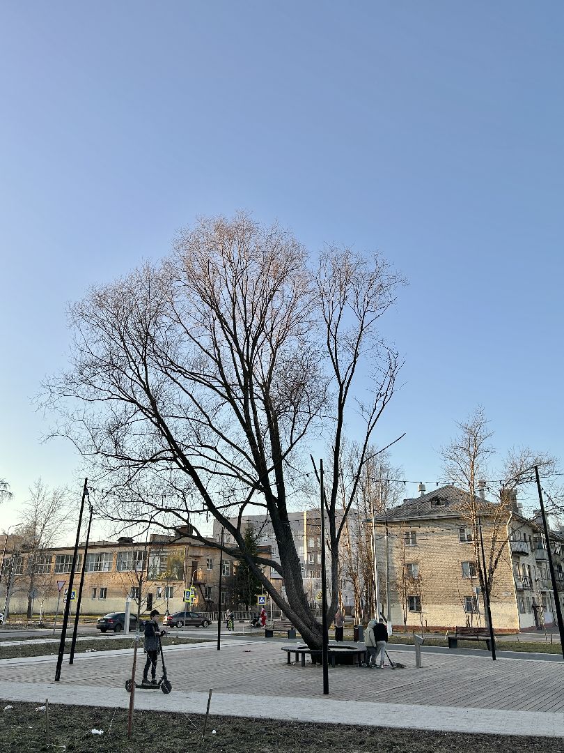 благоустройство, зона отдыха, перемены, Фрязино