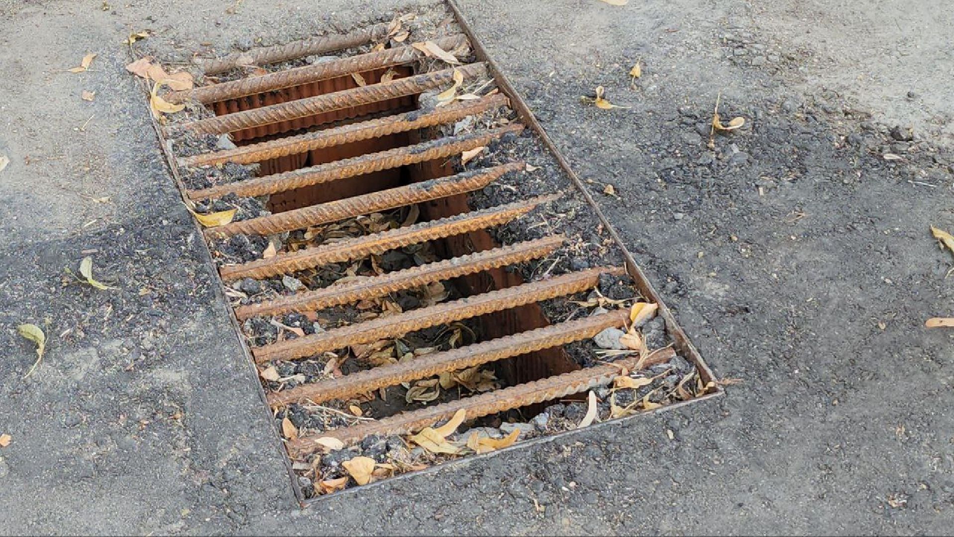 люберцы, добродел, подтопление, детский сад,