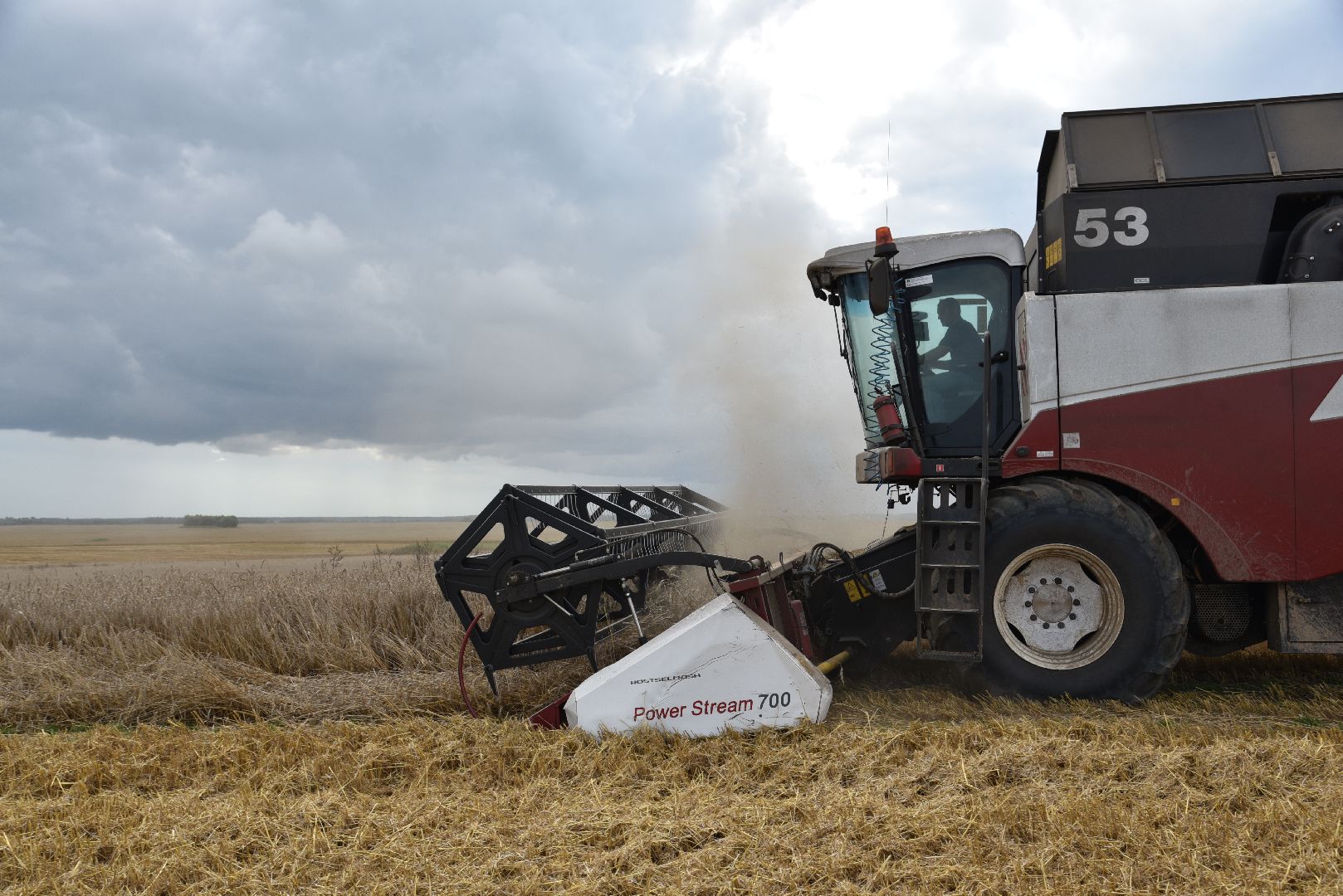 лотошино, сельское хозяйство, пшеница, урожай,