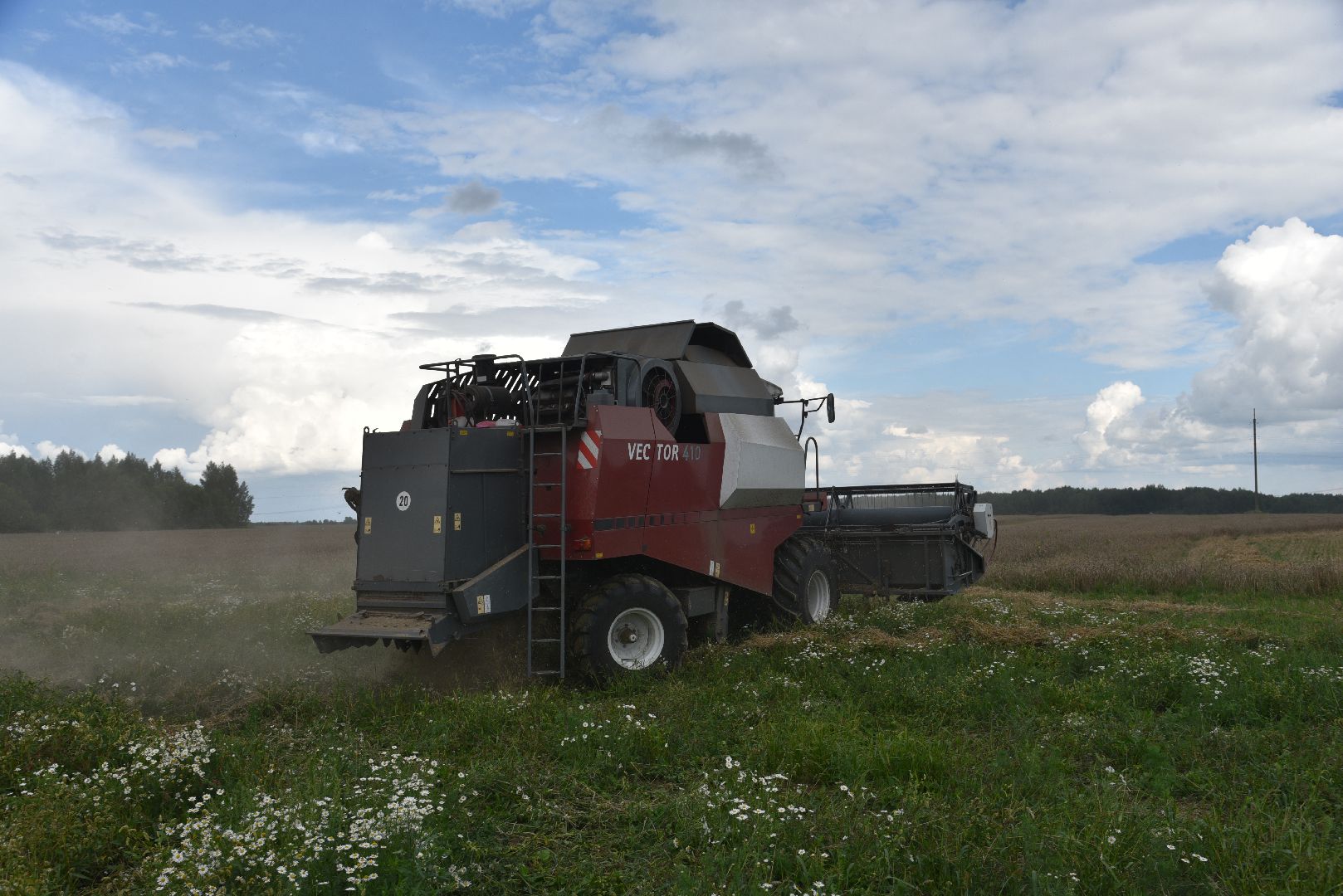 лотошино, сельское хозяйство, пшеница, урожай,