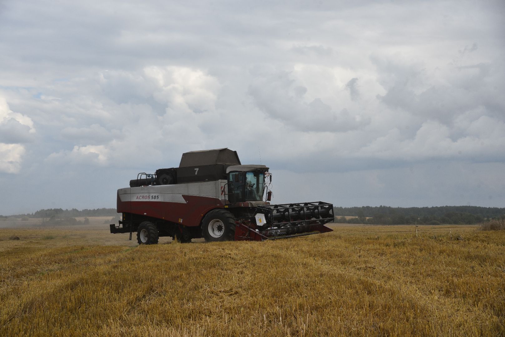 лотошино, сельское хозяйство, пшеница, урожай,