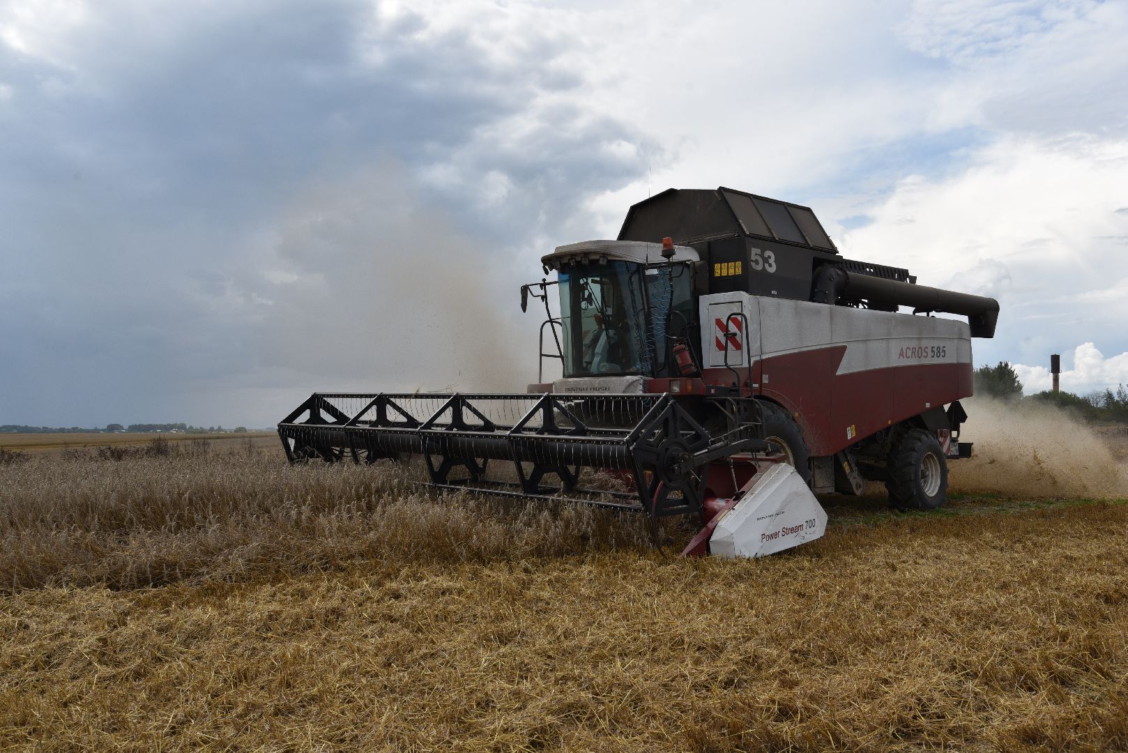 лотошино, сельское хозяйство, пшеница, урожай,