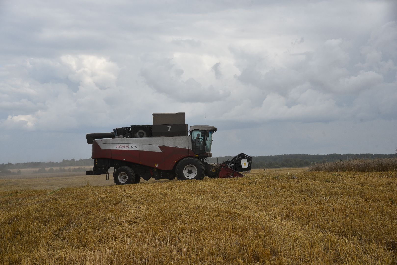 лотошино, сельское хозяйство, пшеница, урожай,