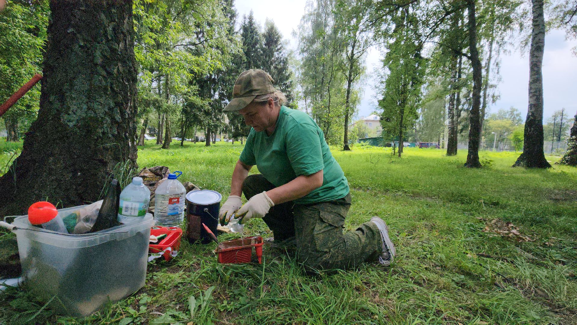 Лес, лавочки, Благоустройство, Лобня,