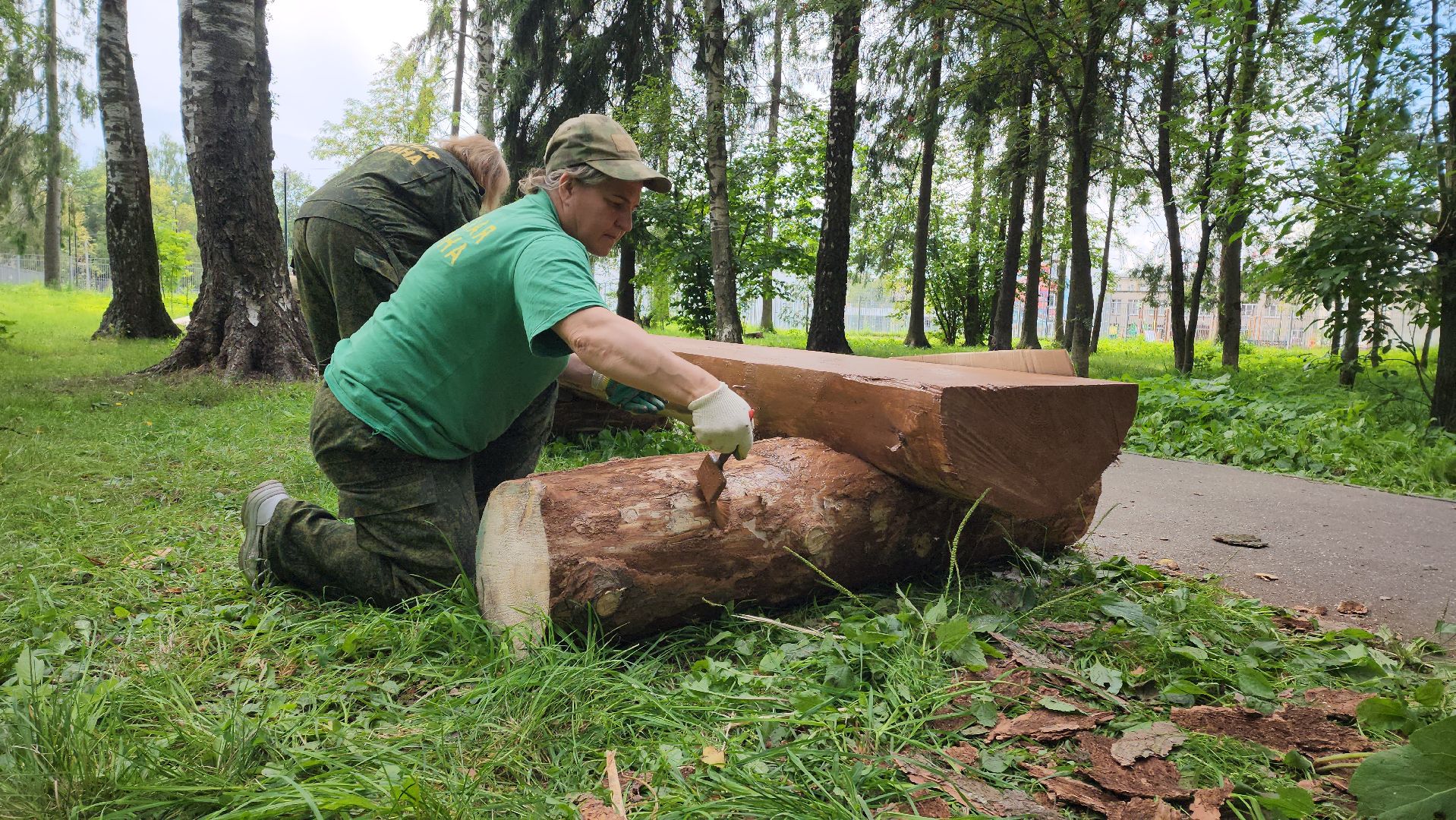 Лес, лавочки, Благоустройство, Лобня,