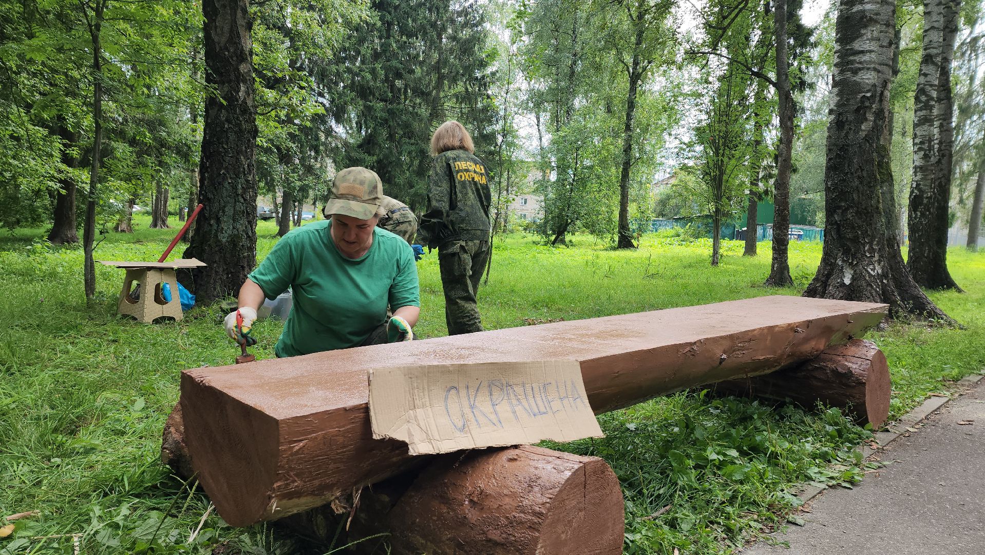 Лес, лавочки, Благоустройство, Лобня,