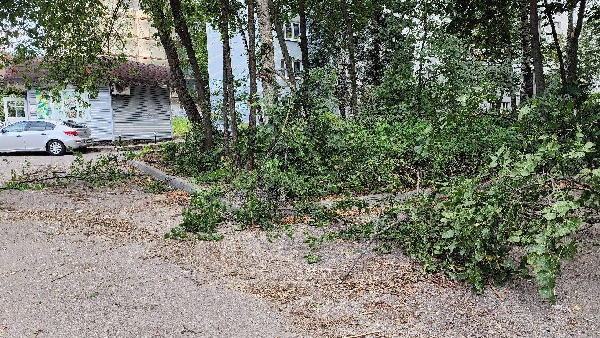 обрезка деревьев, пушкино, благоустройство, коммунальная служба,