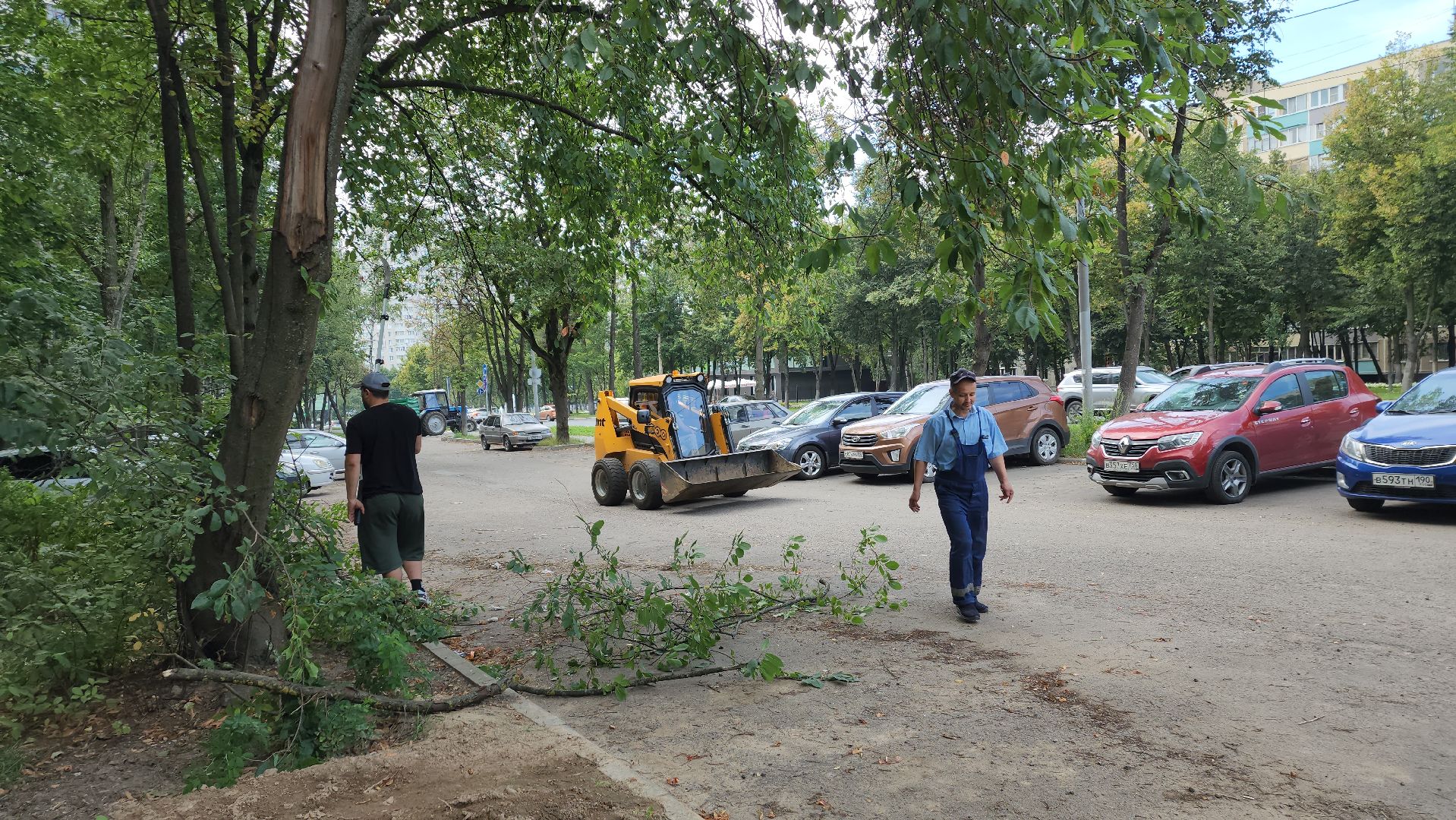 обрезка деревьев, пушкино, благоустройство, коммунальная служба,