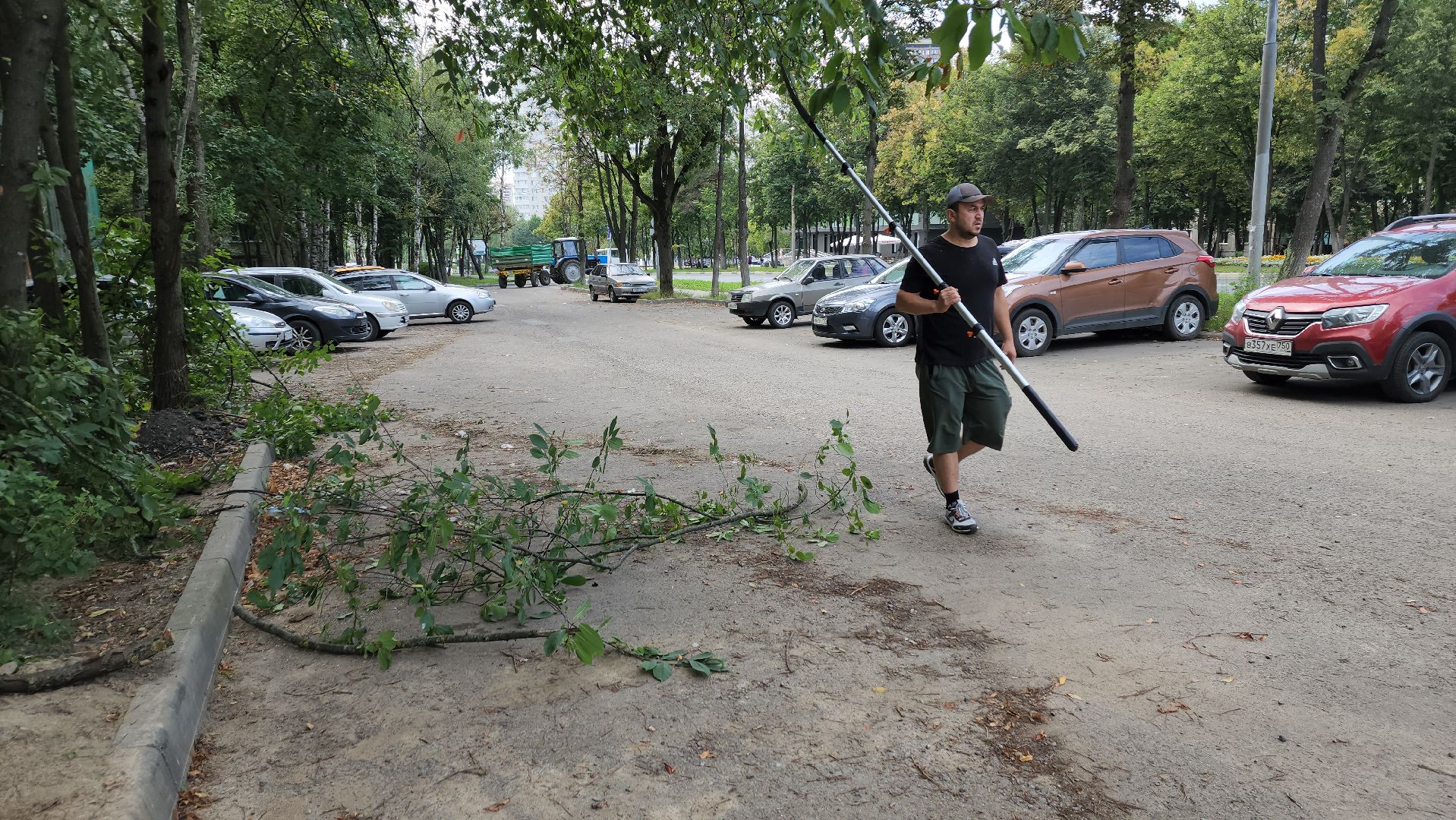 обрезка деревьев, пушкино, благоустройство, коммунальная служба,